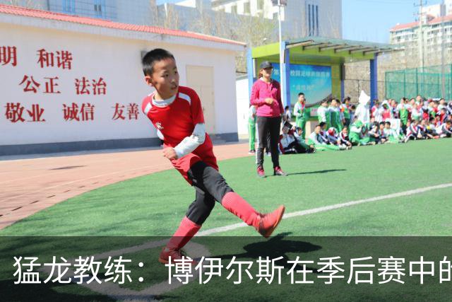 猛龙教练：博伊尔斯在季后赛中的重要角色，将尝试多种阵容